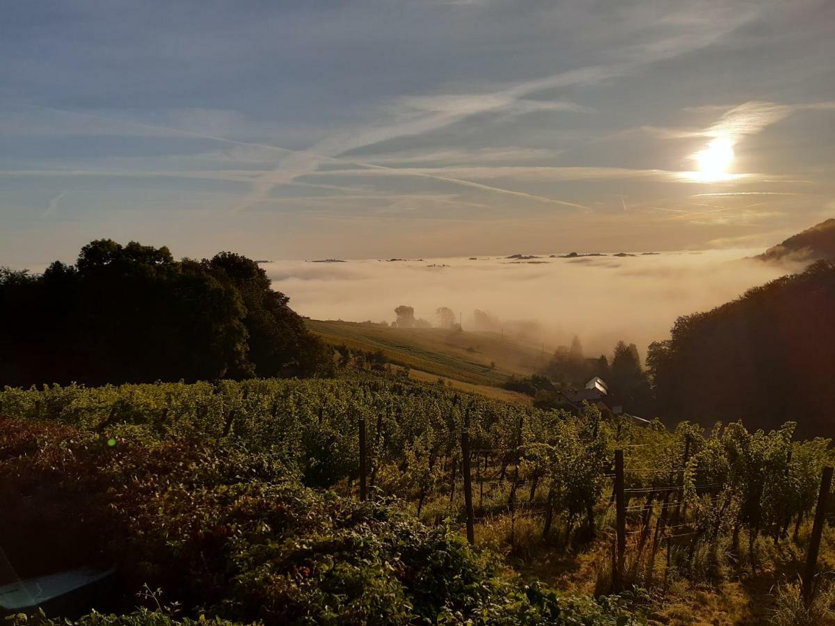 Sunrise Home Maribor Eksteriør bilde